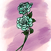 rose (content editor)