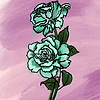 rose (content editor)